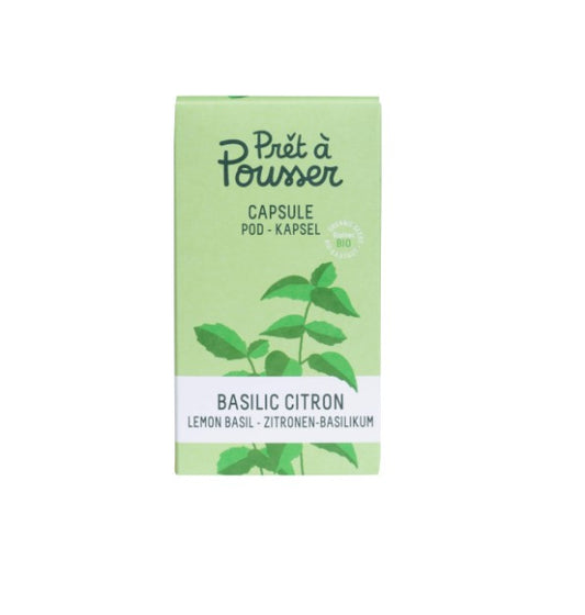 Zitronen-Basilikum (Kräuter Blumen)