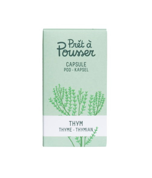 Thymian (Kräuter Blumen)