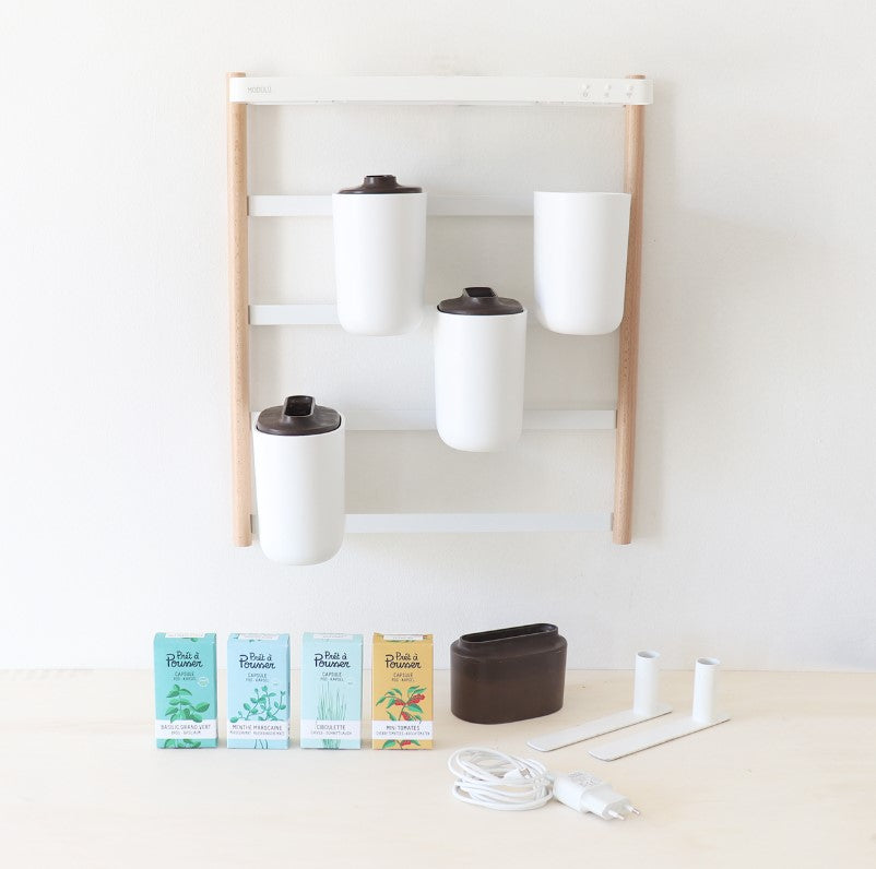 Indoor Kräuter - Blumen - Garten