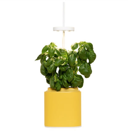 Indoor Kräuter - Blumen - Garten Nano