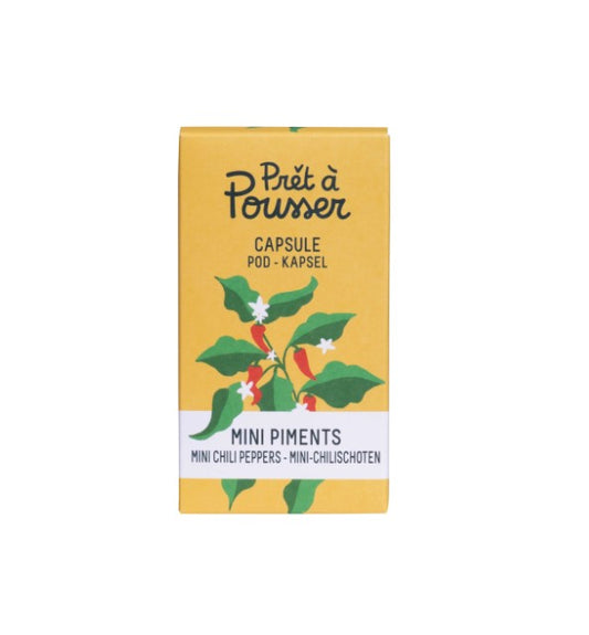 Mini-Chili (Kräuter Blumen)