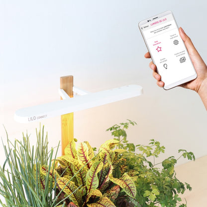 Indoor Kräuter - Blumen - Garten Lilo Connect