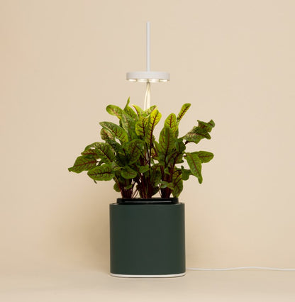 Indoor Kräuter - Blumen - Garten Nano