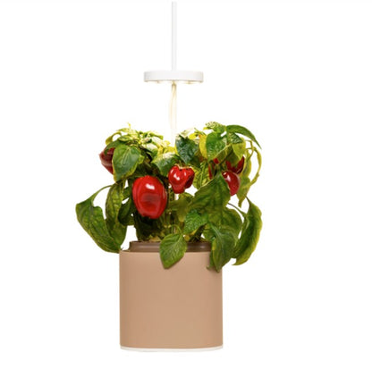 Indoor Kräuter - Blumen - Garten Nano