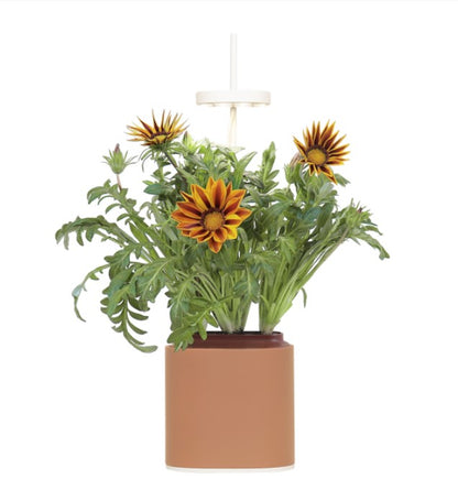 Indoor Kräuter - Blumen - Garten Nano