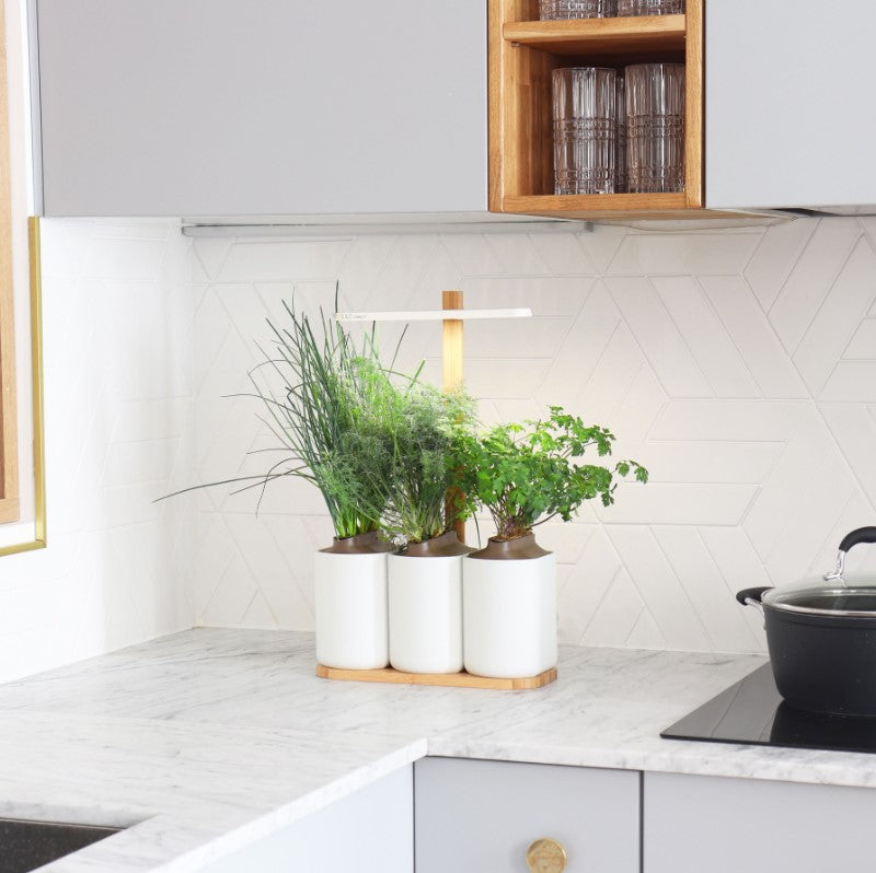 Indoor Kräuter - Blumen - Garten Lilo Connect