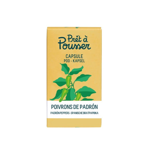 Padron-Paprika (Kräuter Blumen)
