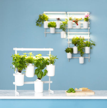 Indoor Kräuter - Blumen - Garten