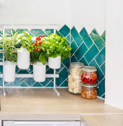 Indoor Kräuter - Blumen - Garten