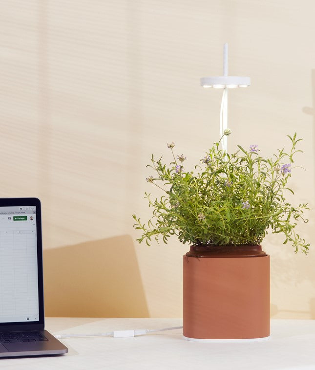 Indoor Kräuter - Blumen - Garten Nano